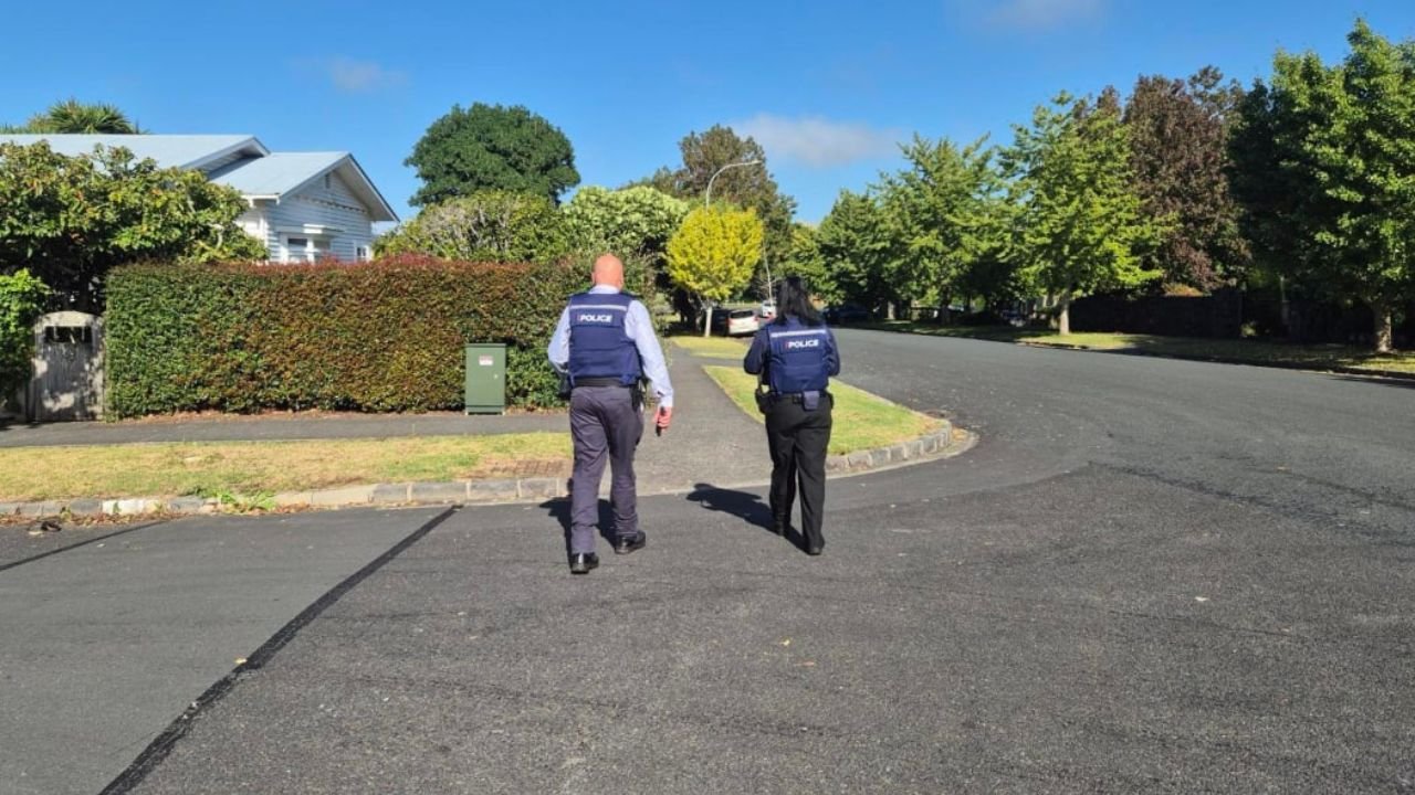 Local Witness Describes Mt Albert Party Violence That Left Four Hospitalized